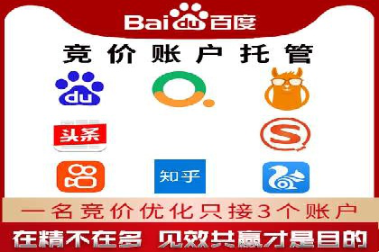 百度推广运营实战：成功案例解析