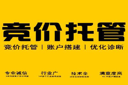 成功案例：SEM代运营服务公司助力企业腾飞